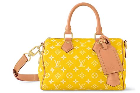 louis vuitton speedy 40 yellow|louis vuitton speedy 40 size.